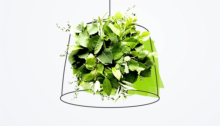 Green loan – millions of zlotys for business development with our support