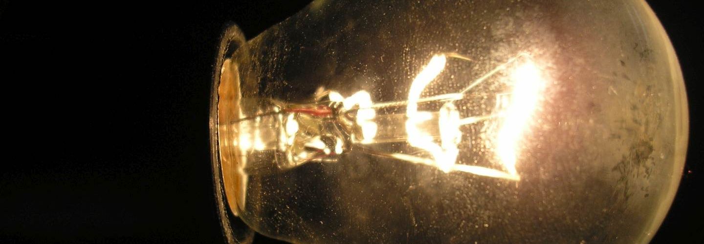 Lena Lighting bulb