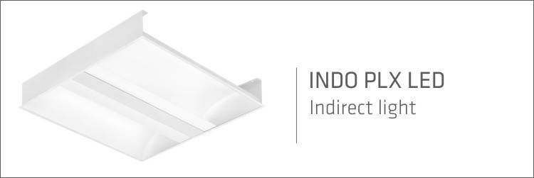 indo EN