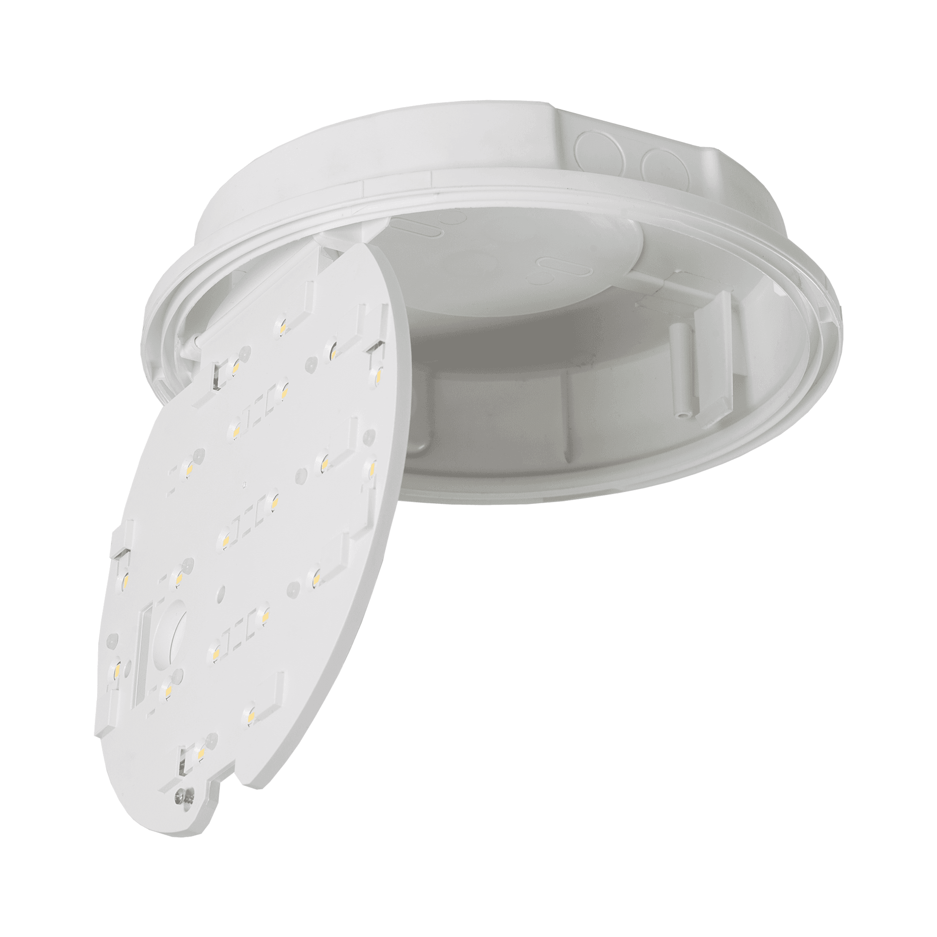 CORAL LED EVO PLUS