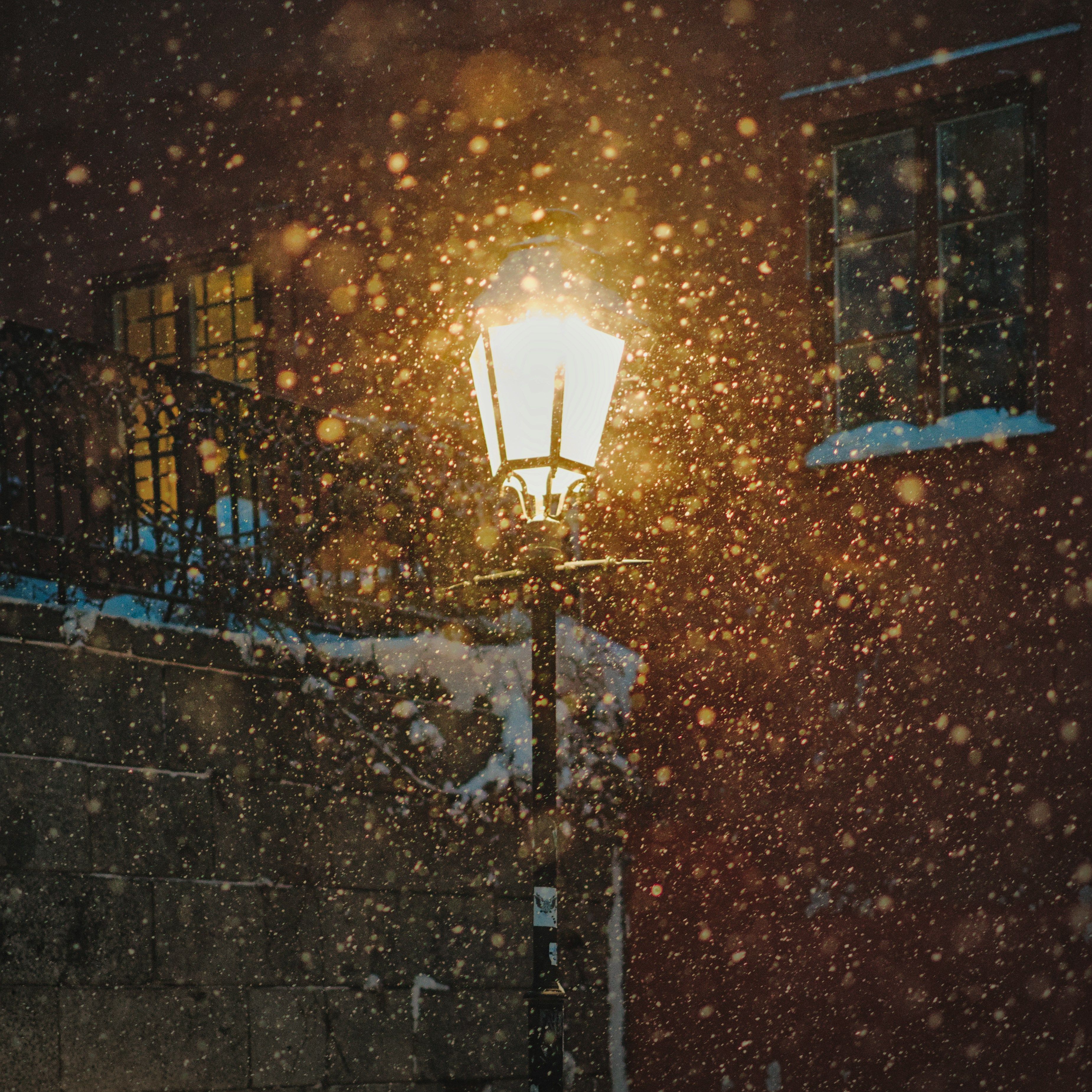 light pole fixtures