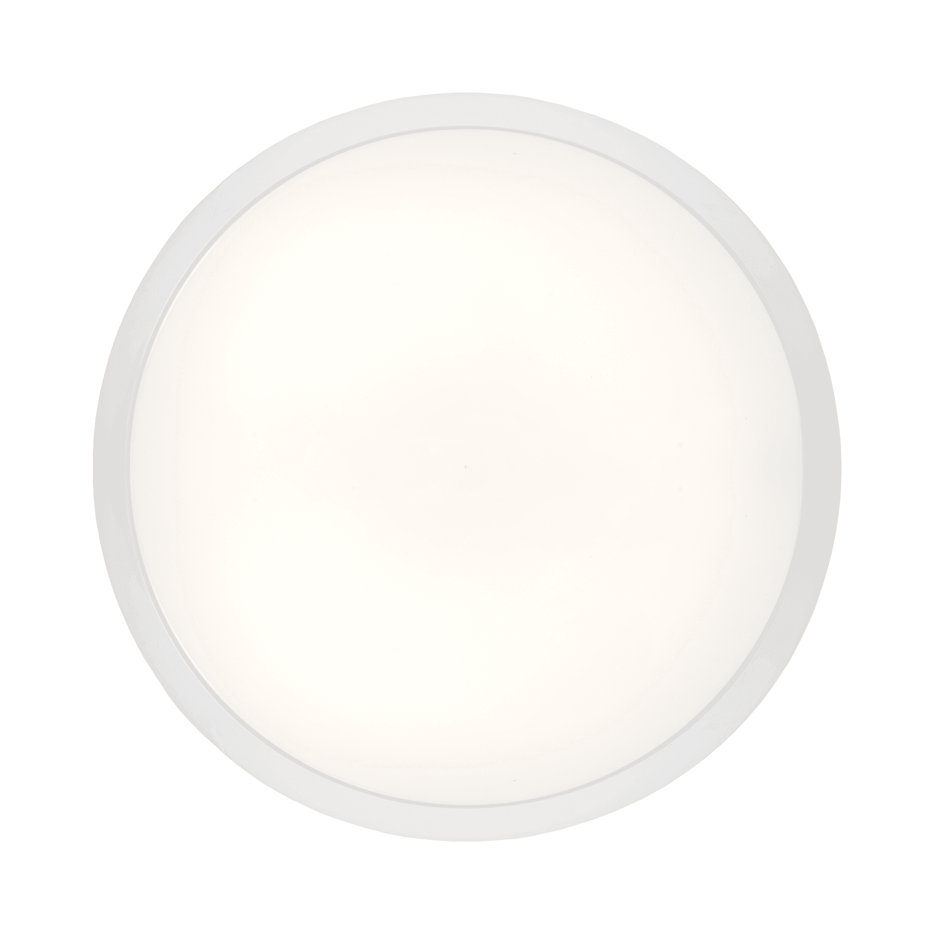 PROXIMA LED EVO PLUS