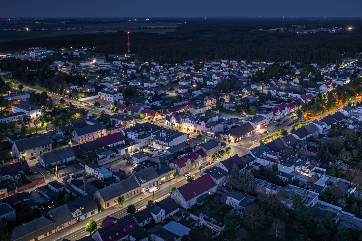 Zaniemyśl Municipality