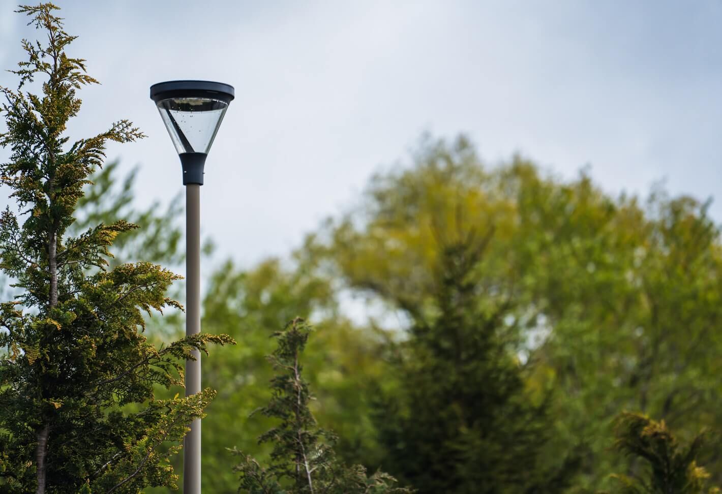 Darłowo oświetlenie drogowe 16