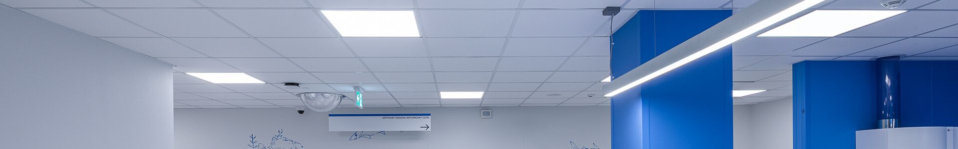 A hospital room with blue walls and a white ceiling, designed with functional lighting in mind