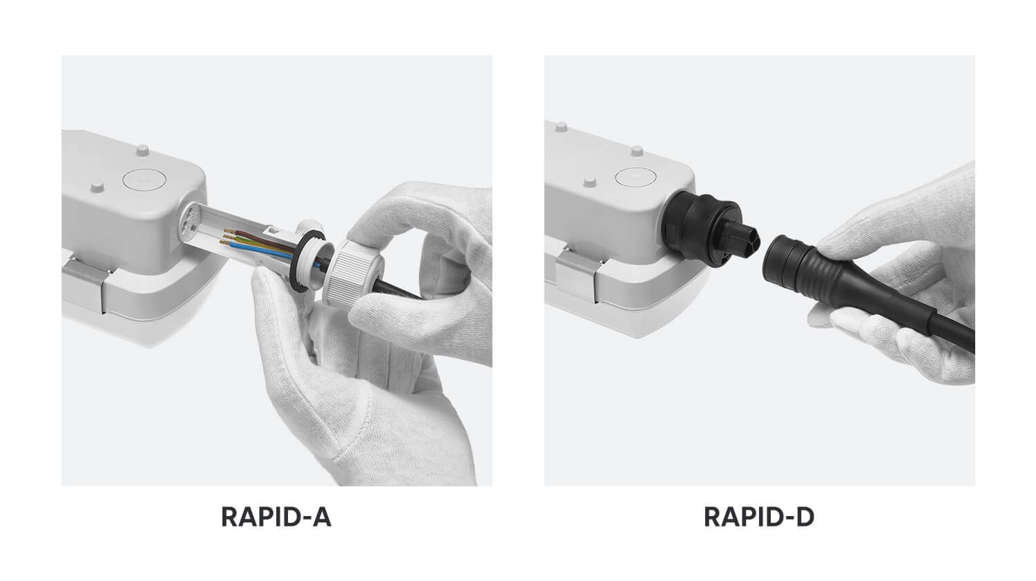 Rapid A i D