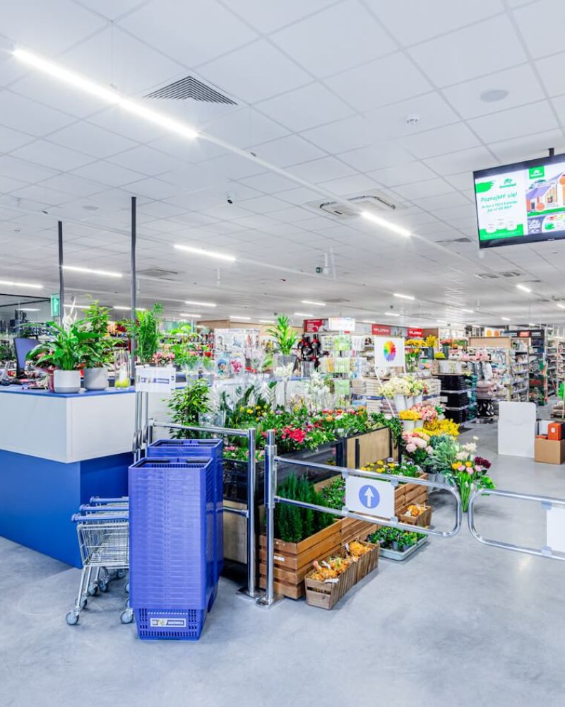 Mrowka Miekinia Lena Lighting Linea S Led Modul Swietlny