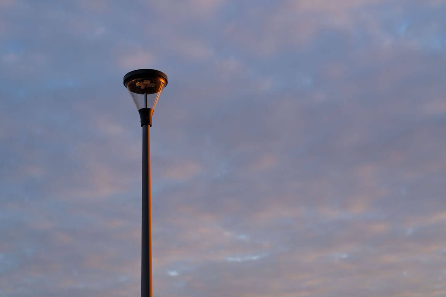Photo 005