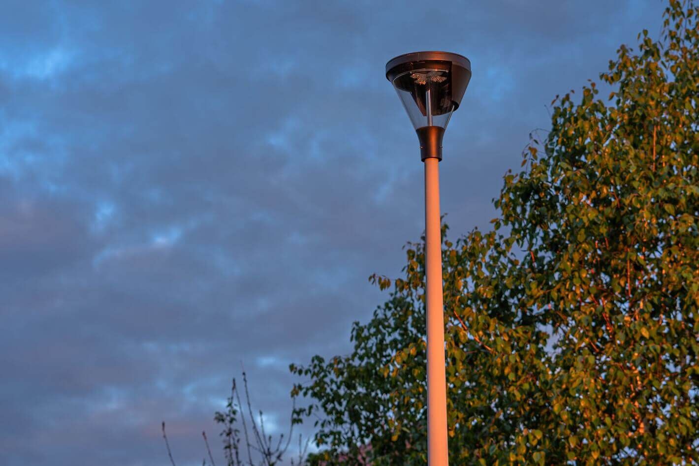 Photo 001